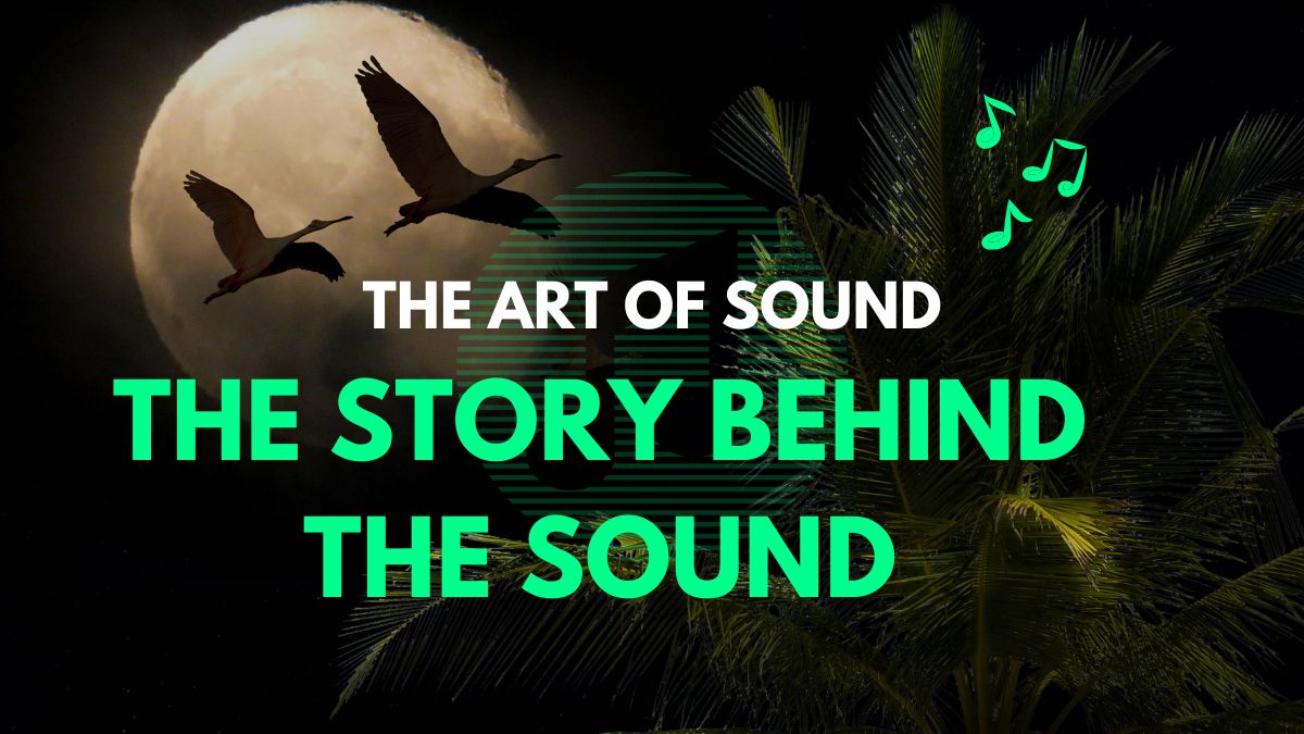 Notes to Noise: How I Shape My Sound